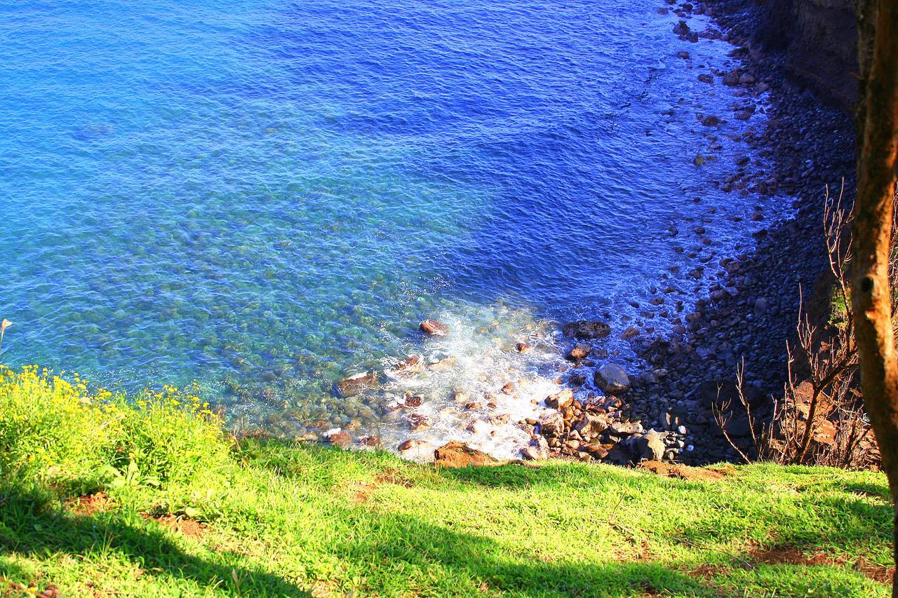 Hawaii Island Retreat at Ahu Pohaku Ho`omaluhia Villa Kapaau Bagian luar foto