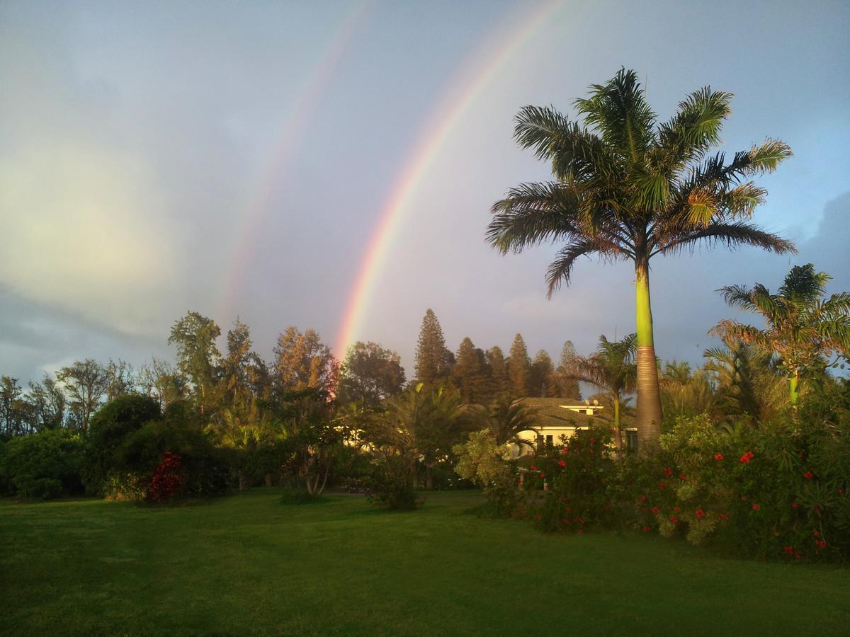 Hawaii Island Retreat at Ahu Pohaku Ho`omaluhia Villa Kapaau Bagian luar foto