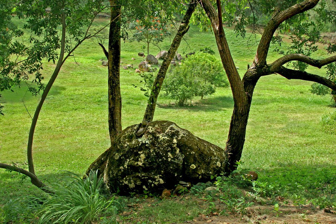 Hawaii Island Retreat at Ahu Pohaku Ho`omaluhia Villa Kapaau Bagian luar foto